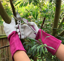 Load image into Gallery viewer, Ladies Gauntlet Gardening Glove &amp; Secateurs Set - Perfect Garden Gift for Women
