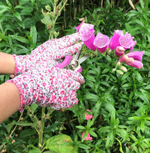 Load image into Gallery viewer, Petal Power Ladies Garden Gloves (2 pairs) &amp; Mini Pruner Secateurs Set - Perfect Ladies Garden Gift
